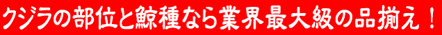 和歌山〆谷商店ロゴ