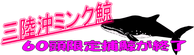 三陸沖ミンク鯨 鮎川ミンク鯨 宮城県ミンク鯨 激安 格安